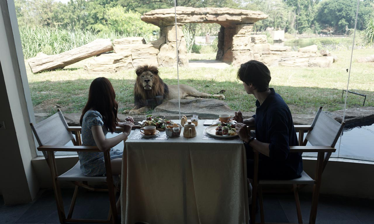 Solo Safari menghadirkan pengalaman bersantap yang tak terlupakan: hidangan lezat ditemani keunikan satwa dari jarak dekat. Foto: Solo Safari for JatimNow.com