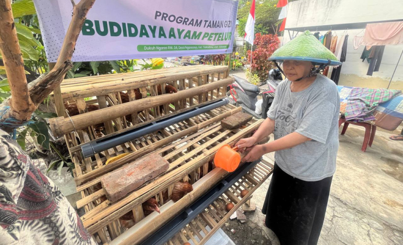 Warga memberikan pakan ayam di kandang ayam petelur program Taman Zakat, di Desa Ngaresrejo, Kecamatan Sukodono, Kabupaten Sidoarjo. (Foto: Takan Zakat for JatimNow.com)
