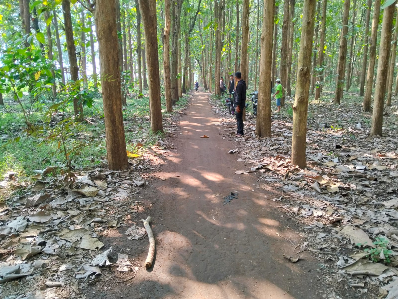 Foto: Lokasi pembegalan perempuan muda di Blitar (Polres Blitar/jatimnow.com)