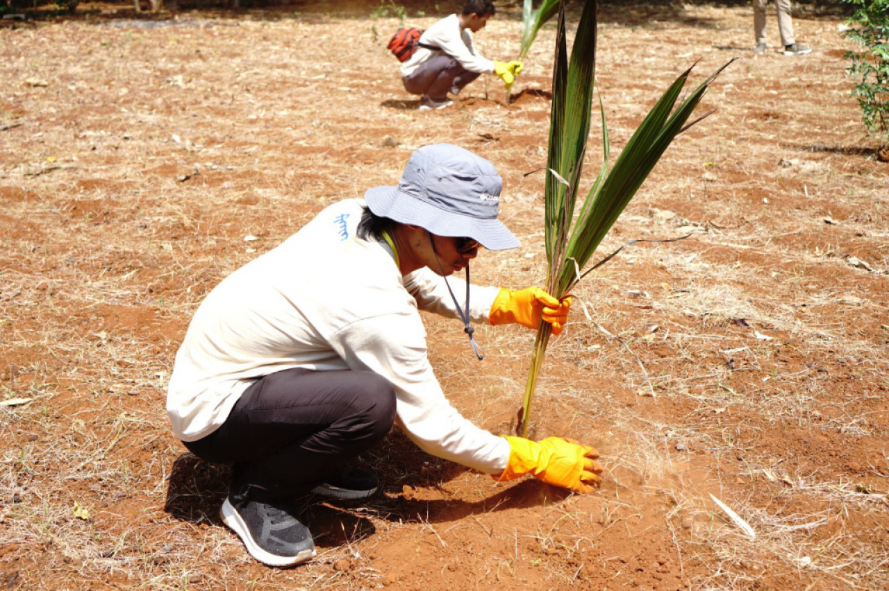 Tim FTMM melakukan penanaman pohon kelapa di Gili Iyang, Minggu (10/8/2025). Foto: FTMM for JatimNow.com