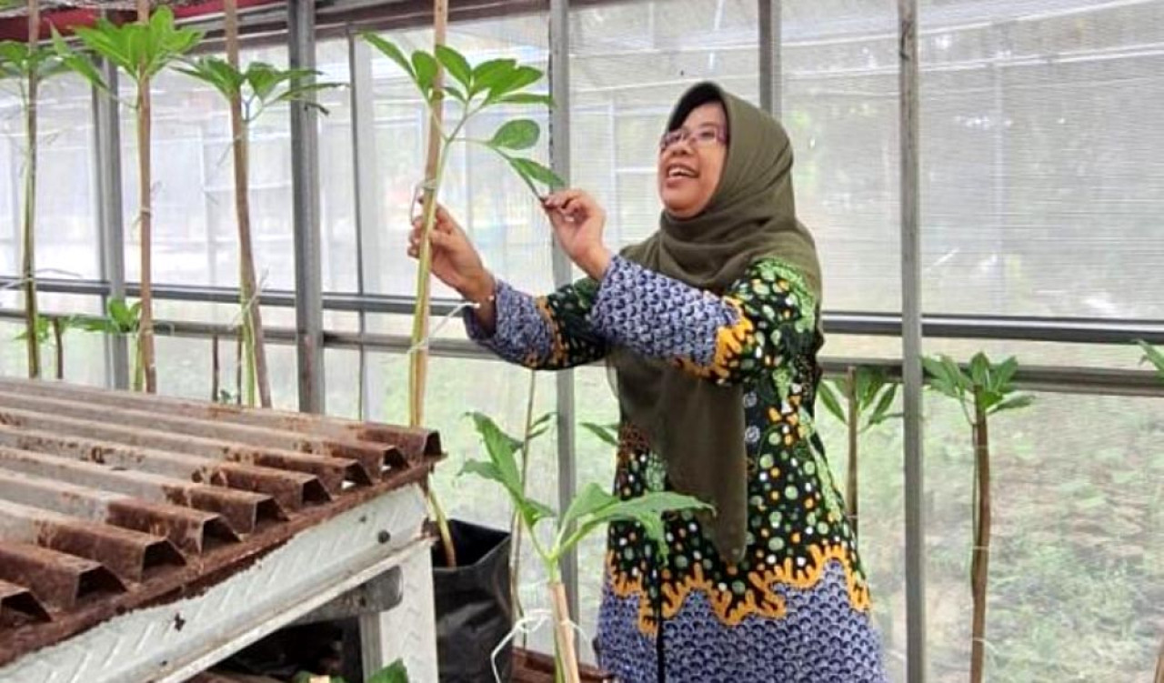 ITS Kembangkan Riset Adaptasi Tanaman untuk Ketahanan Pangan