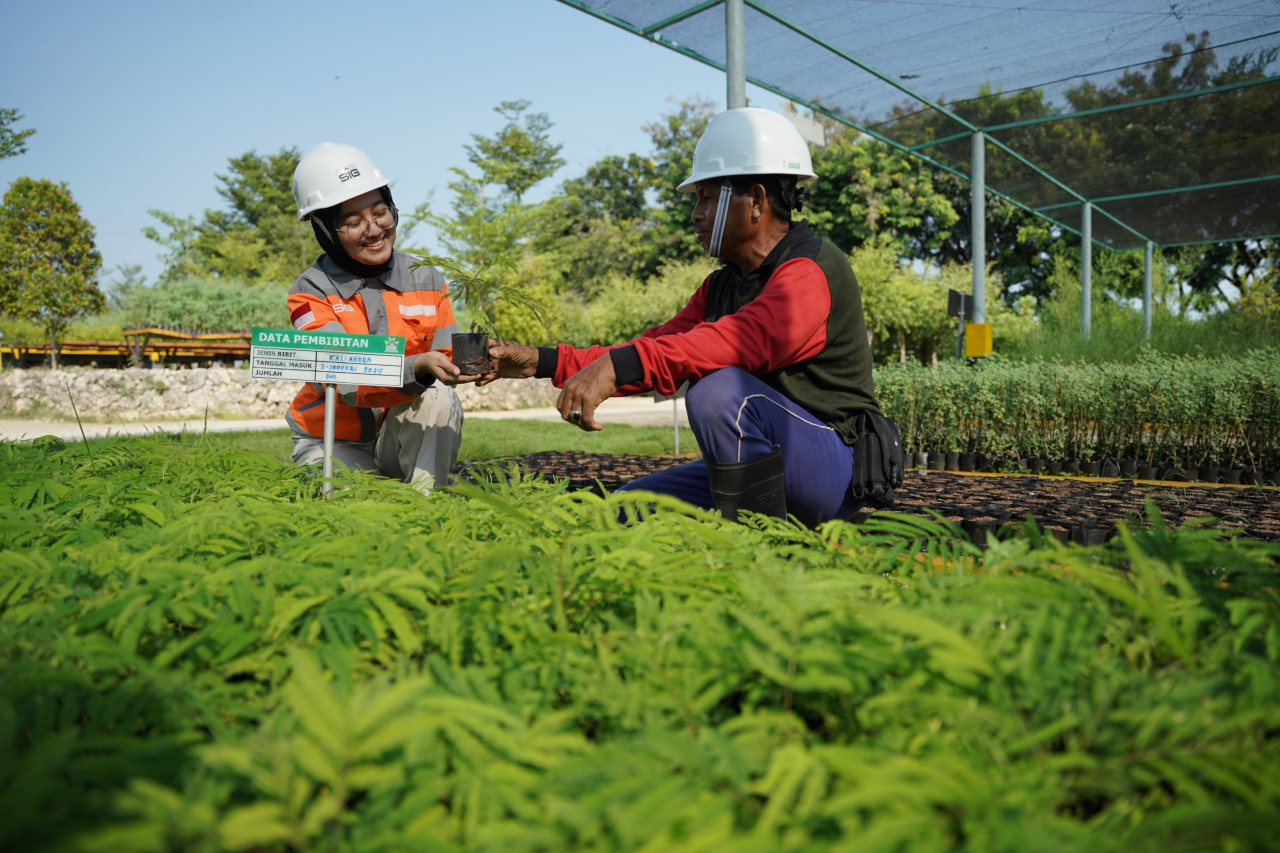 Area pembibitan tanaman Kaliandra di kawasan Griyo Winih Ecopark Kambang Semi lahan pascatambang tanah liat SIG di Pabrik Tuban, Jawa Timur. (Foto: SIG/jatimnow.com)