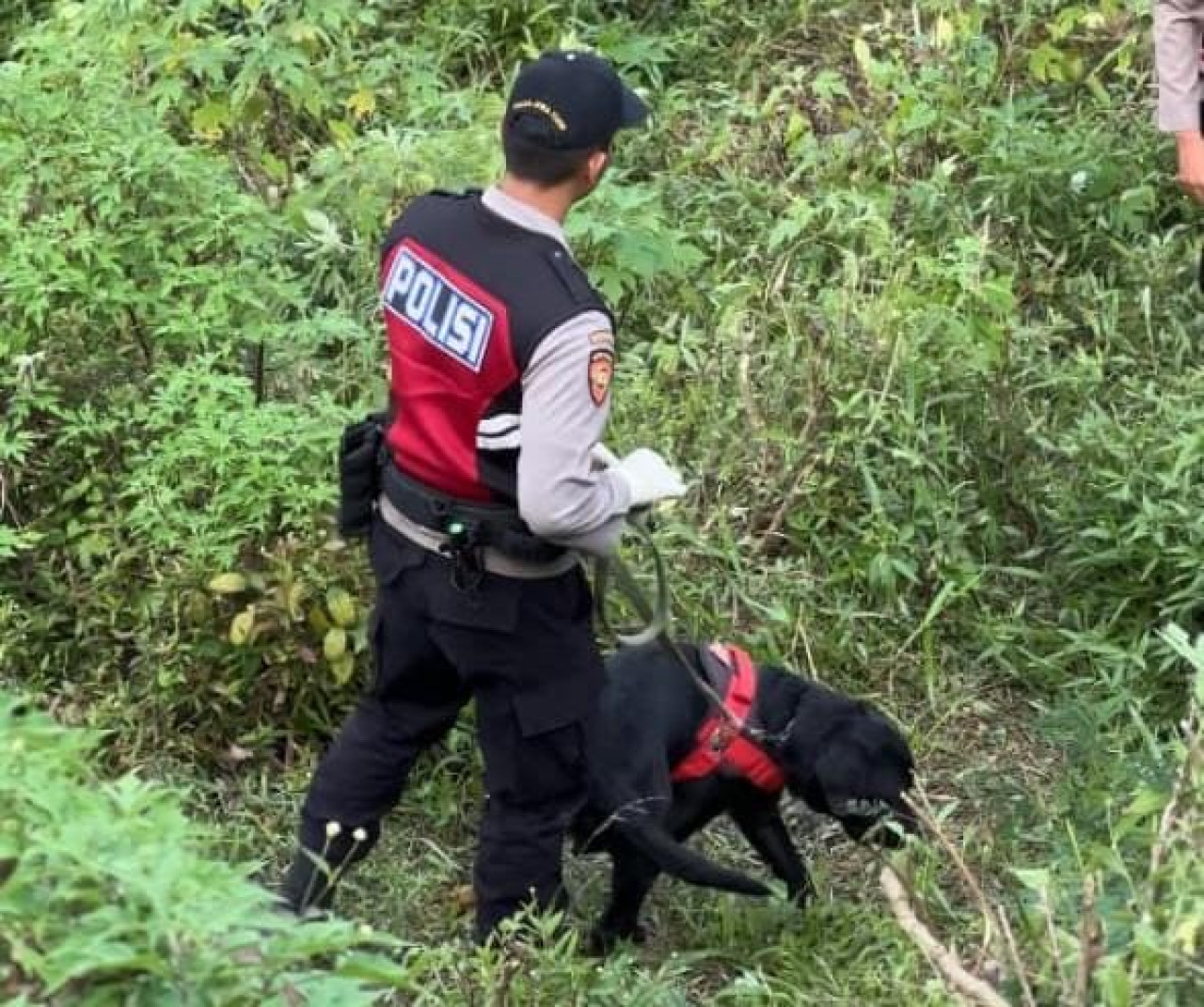 Anjing Unit K-9 Polda Jatim Bantu  Ungkap Identitas Korban Mutilasi Mojokerto