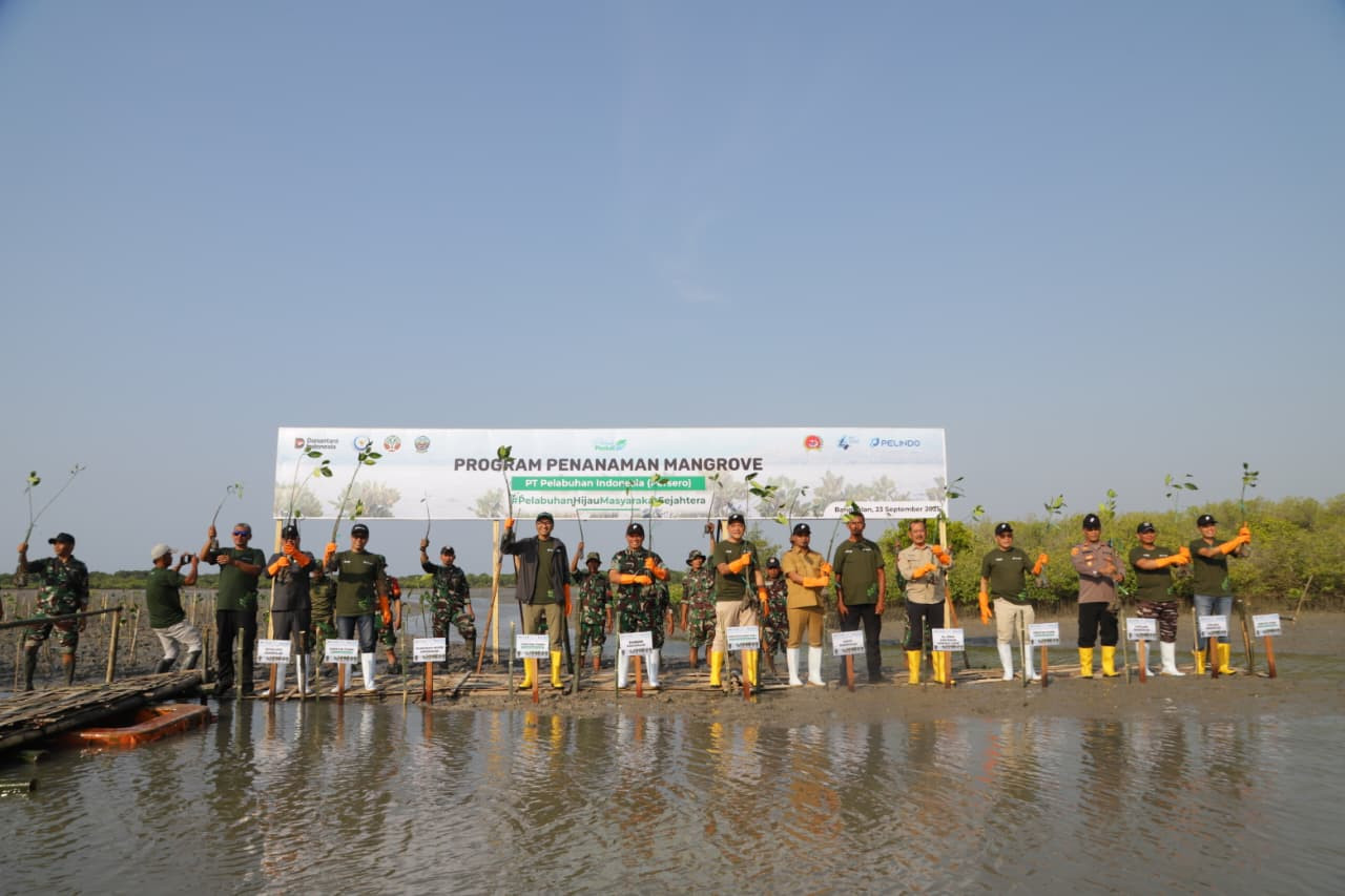 Penanaman mangrove di Desa Tolbuk dan Desa Ko’ol, Kabupaten Bangkalan. (Foto: Pelindo/jatimnow.com)