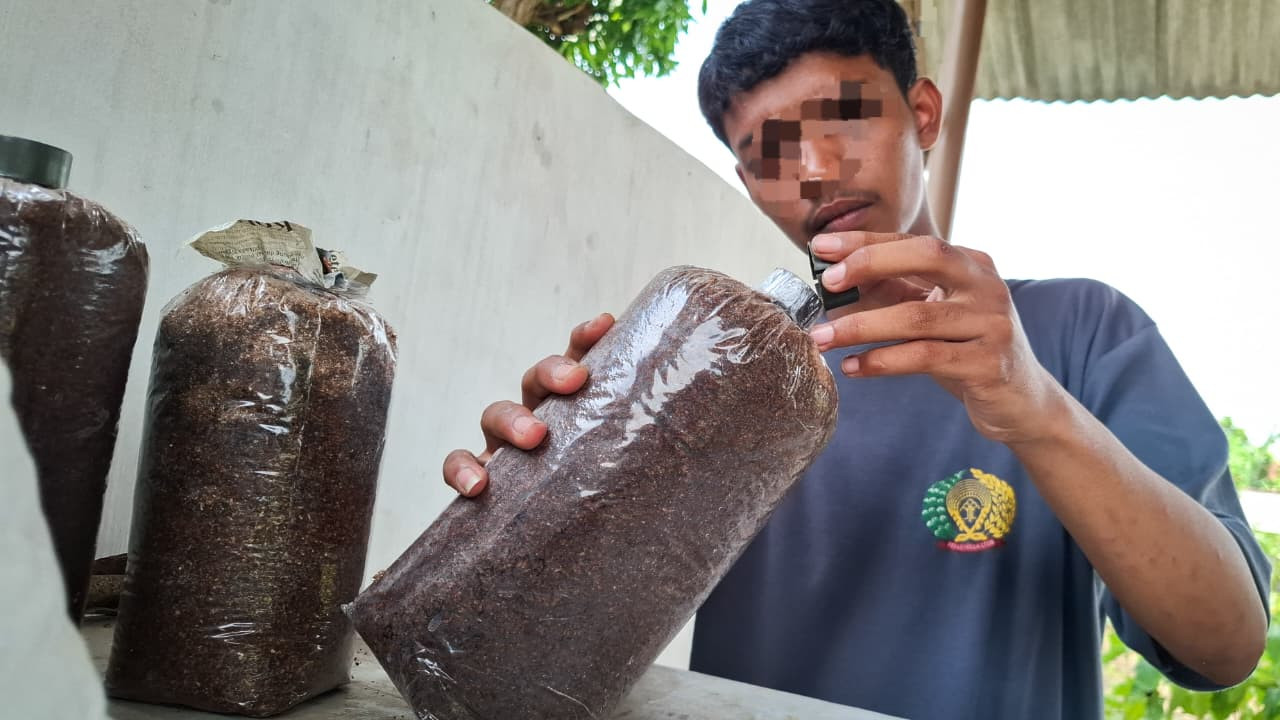 Napi Lapas Kediri Panen Jamur Tiram Capai 30 Kg, Dijual Murah untuk Masyarakat