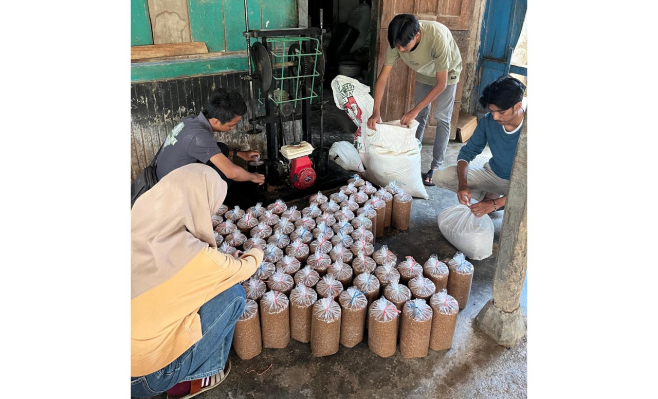 Limbah Jagung Jadi Solusi Penebangan Liar Hutan Meru Betiri