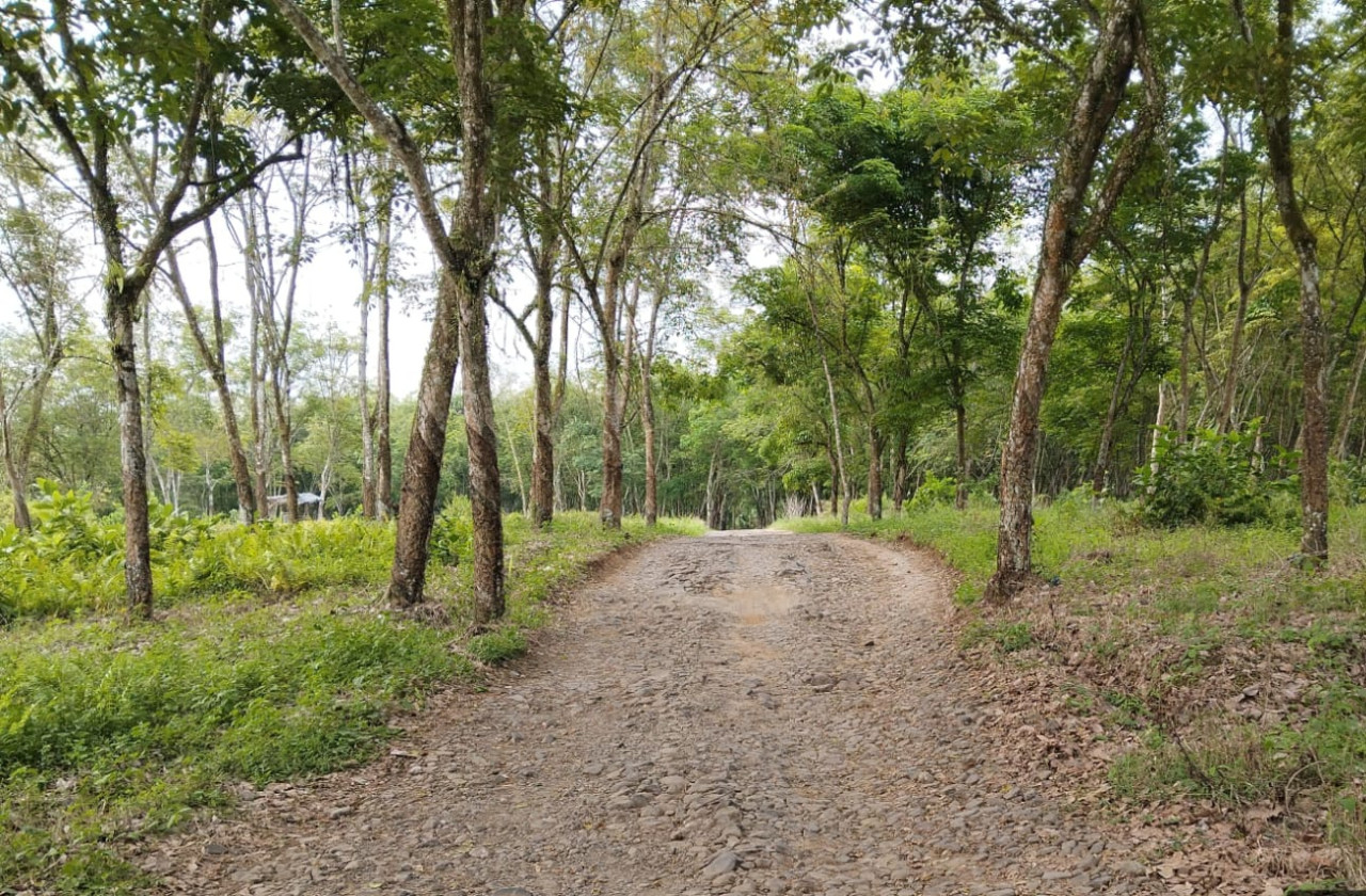 Kondisi akses jalan warga yang butuh perhatian Pemkab Jember. (Foto: Nurhuda/jatimnow.com)