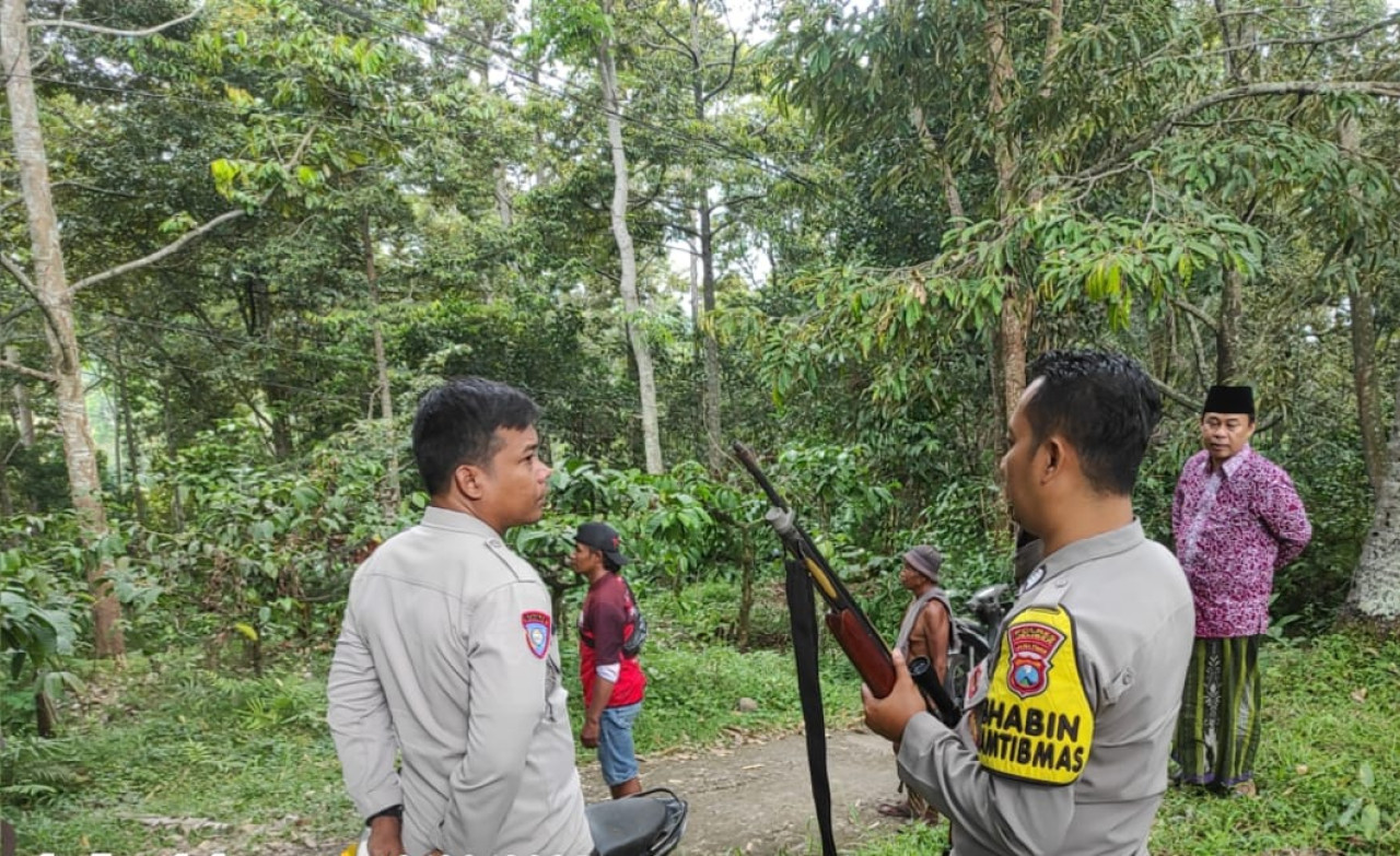 Foto: Petugas memburu keberadaan monyet yang menyerang warga (Amel/jatimnow.com)