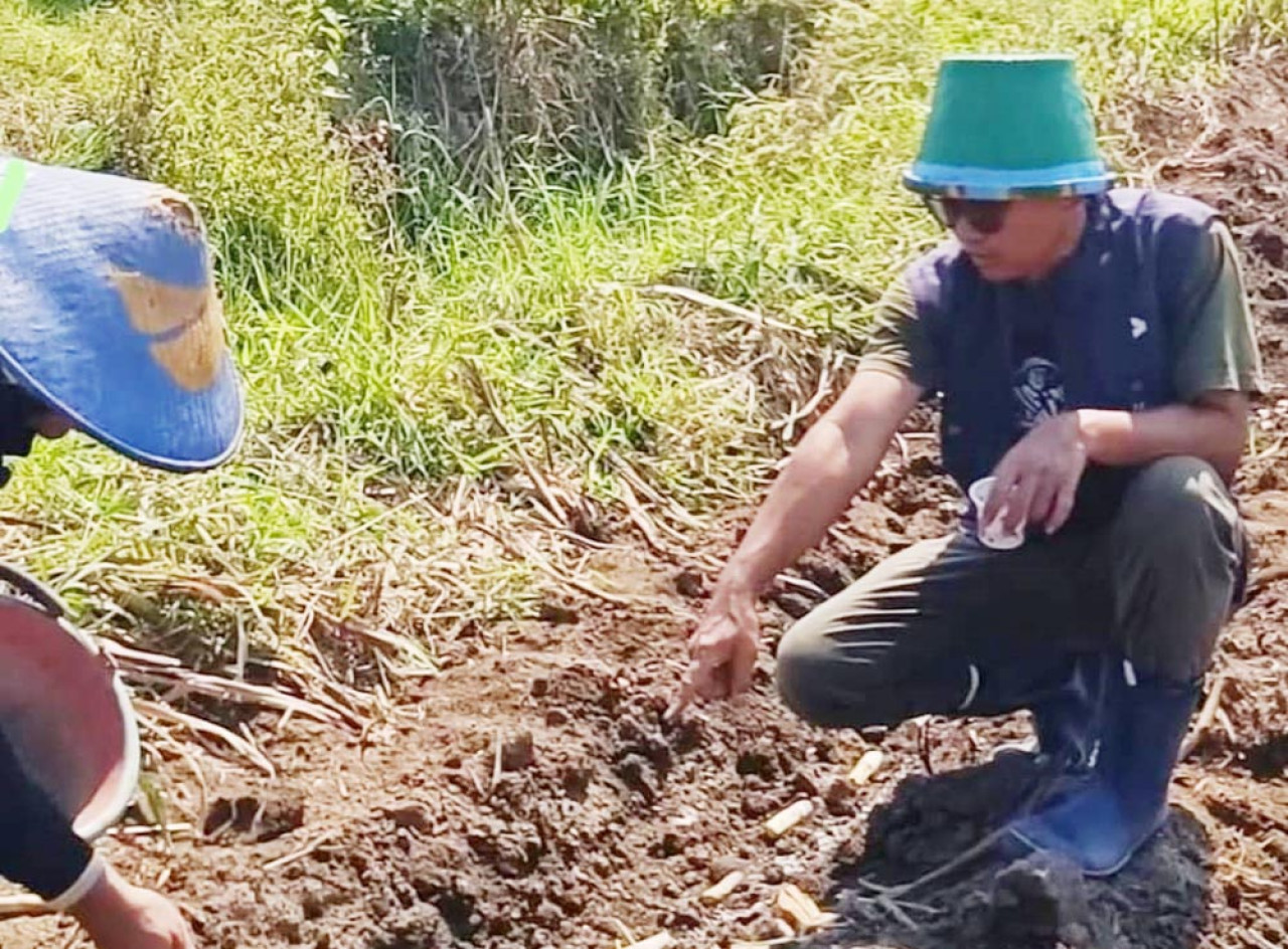 Ketua Bidang Pertanian dan Perkebunan PW GP Ansor Jatim, H. Deni Prasetya, berada di lahan tebu. (Foto/Dok Pribadi)