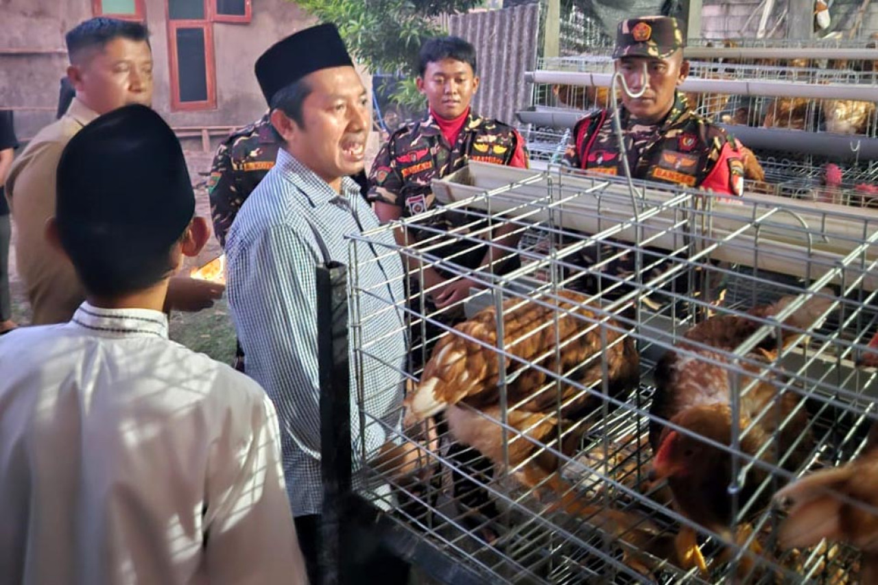 Gus Addin meninjau kandang ayam petelur yang dikelola secara bersama oleh kader Ansor Diwek, Jombang. (Foto: FJN for jatimnow.com)