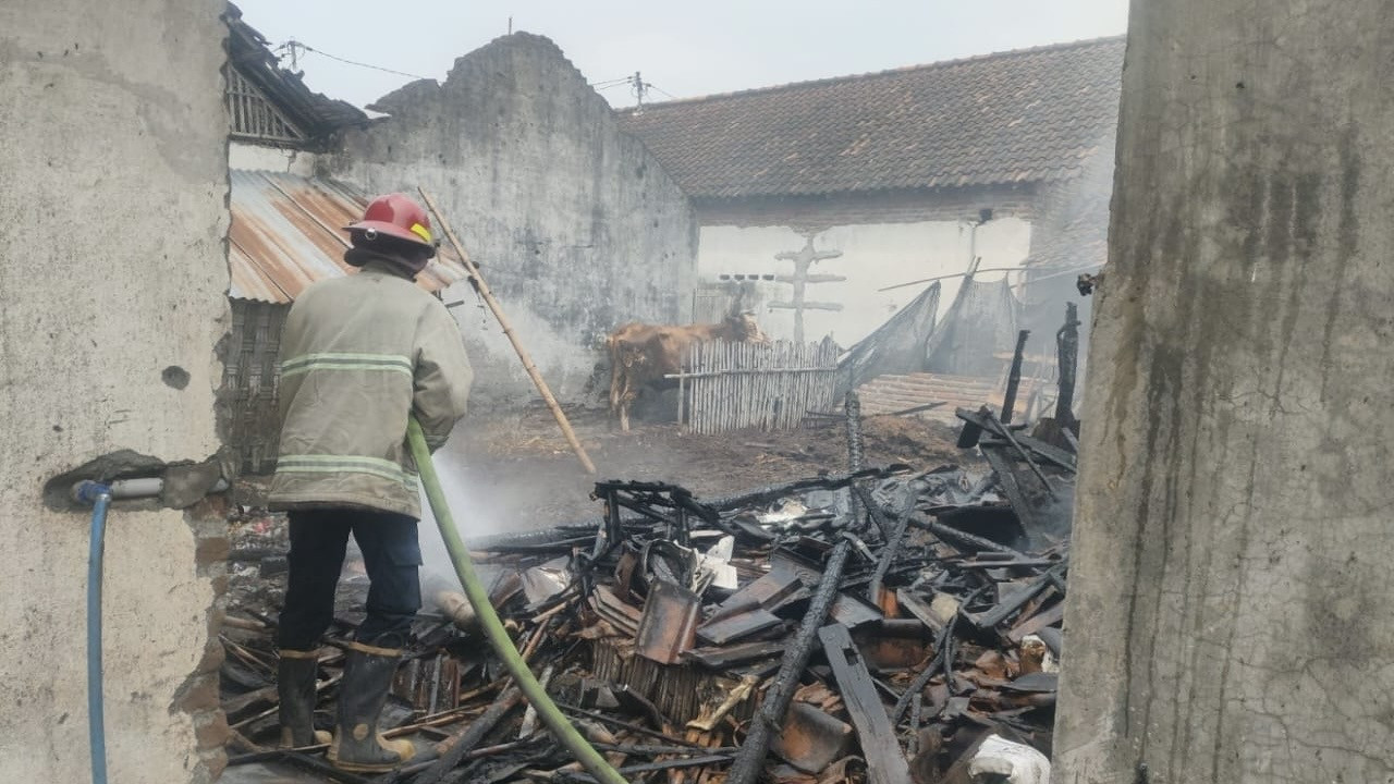 Kebakaran kandang sapi di Kediri. (Foto: Damkar Kediri/jatimnow.com)