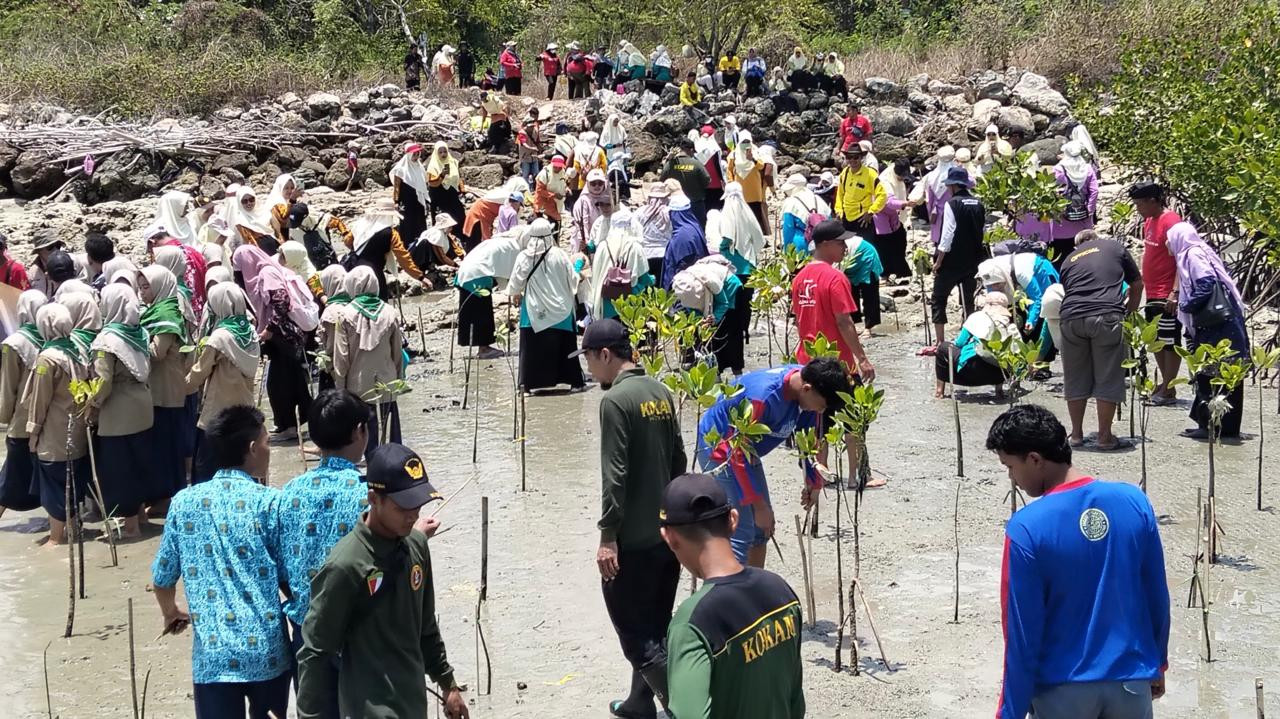 Gerakan sadar lingkungan tanam 1500 pohon magrove di pesisir Lamongan. (Foto: Adyad Ammy Iffansah/jatimnow.com)