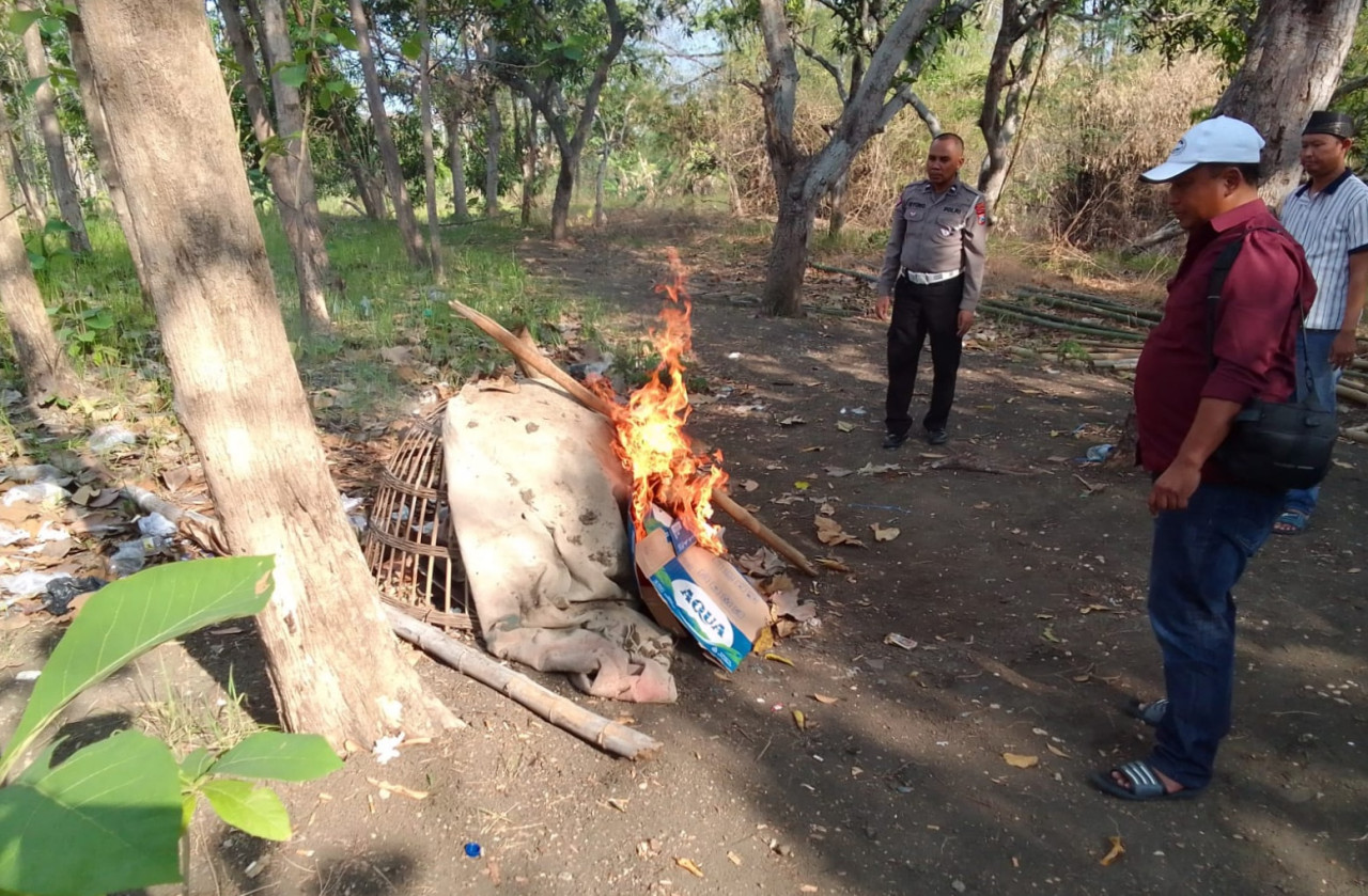 Arena Sabung Ayam di Menganti Digerebek, Para Penjudi Kabur Saat Polisi Datang