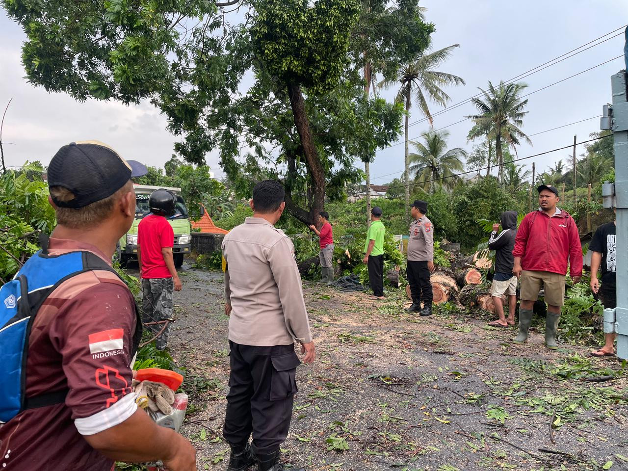 Hujan Deras Disertai Angin Kencang Terjadi di Blitar, Pohon Ambruk Tutup Jalan