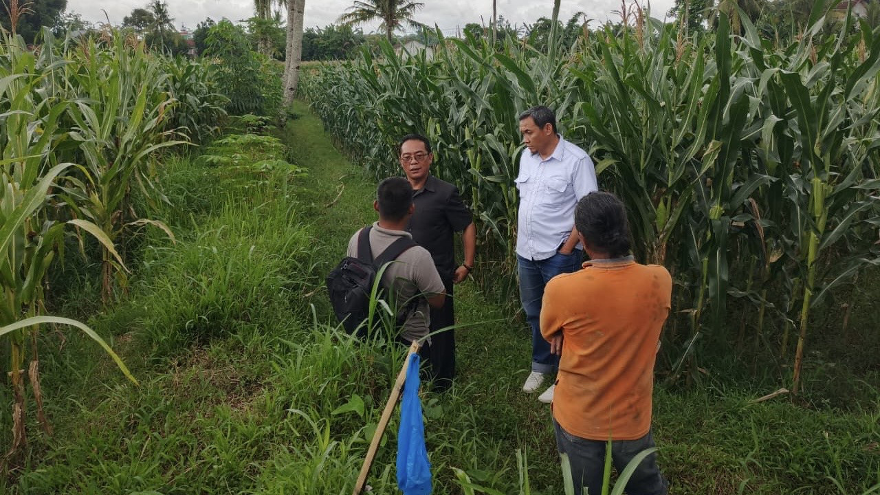 Komisi C DPRD Jember sidak saluran irigasi pertanian yang tak berfungsi baik. (Foto: Sugianto/jatimnow.com)