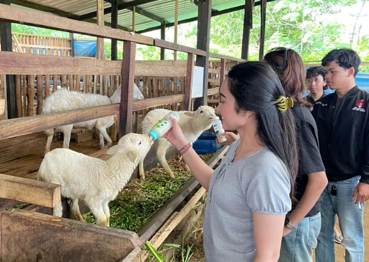 Peserta Kaderisasi Tingkat Dasar (KTD) mempelajari peternakan kambing. Hal itu untuk memahami hubungan antara teknologi, produksi rakyat, dan kedaulatan ekonomi desa. (Foto: GMNI for JatimNow.com)