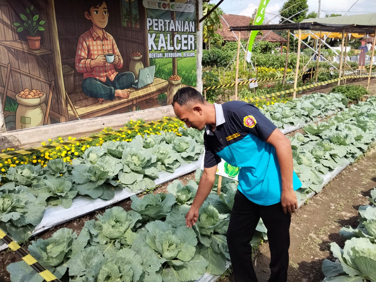 Urban Farming Culture Fest, Cara Kartar Kediri Gaet Minta Pemuda ke Pertanian Modern