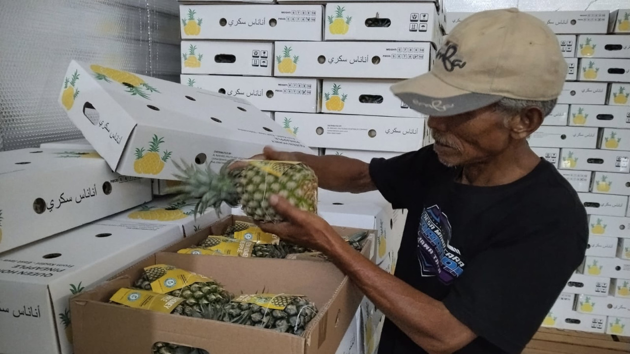 Nanas Queen Simplek Kediri. (Istimewa)