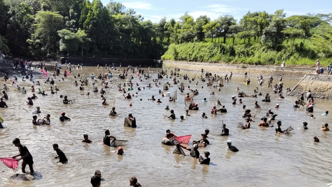 Gropyok ikan di Sumber Jembangan Kediri. (Foto: Nanik for jatimnow.com)