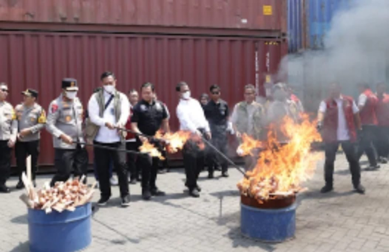 Foto: Polda Jatim memusnahkan bawang bombay ilegal. (Polda Jatim/jatimnow.com)