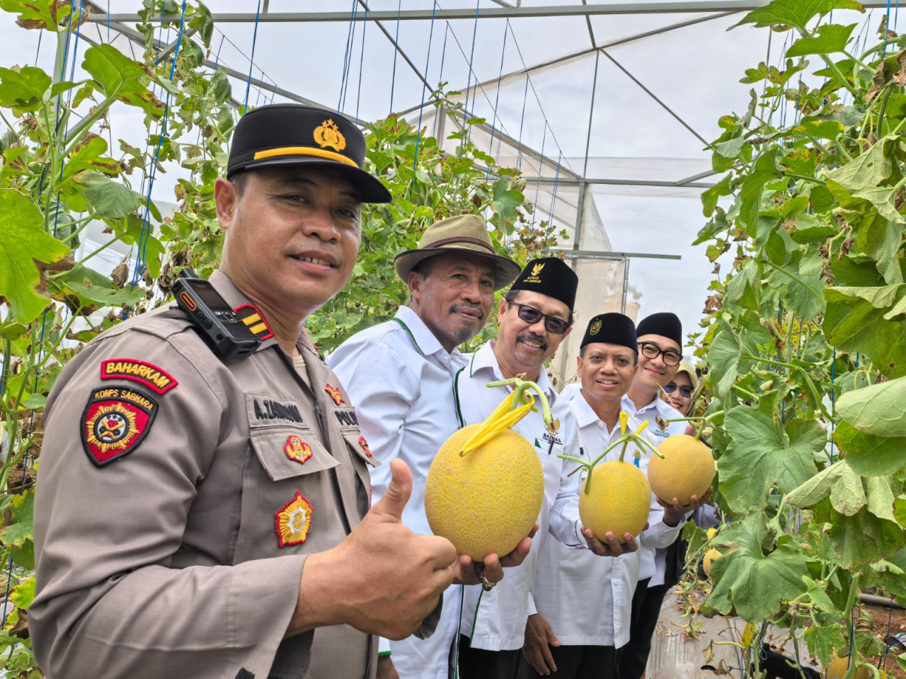 Baznas Lamongan Berhasil Sulap Dana Zakat Jadi Produk Pertanian Modern