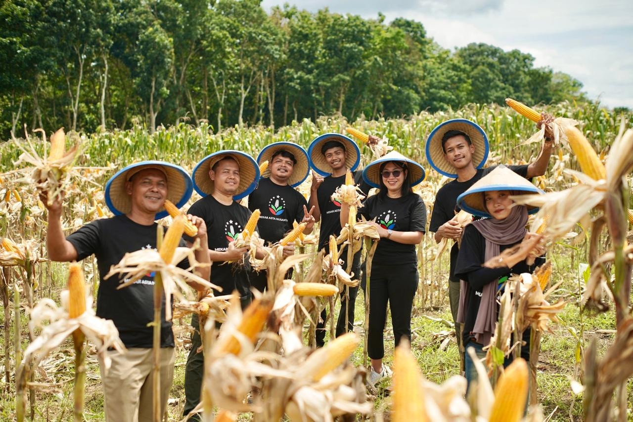Panen perdana jagung program agroforestri di lahan pertanian Desa Seputih Jember. (Foto: Sugianto/jatimnow.com)