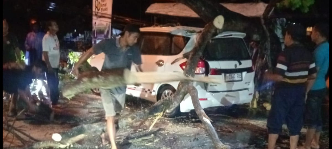 Hujan Deras dan Angin Kencang, Mobil Minibus Tertimpa Pohon Besar di Tulungagung