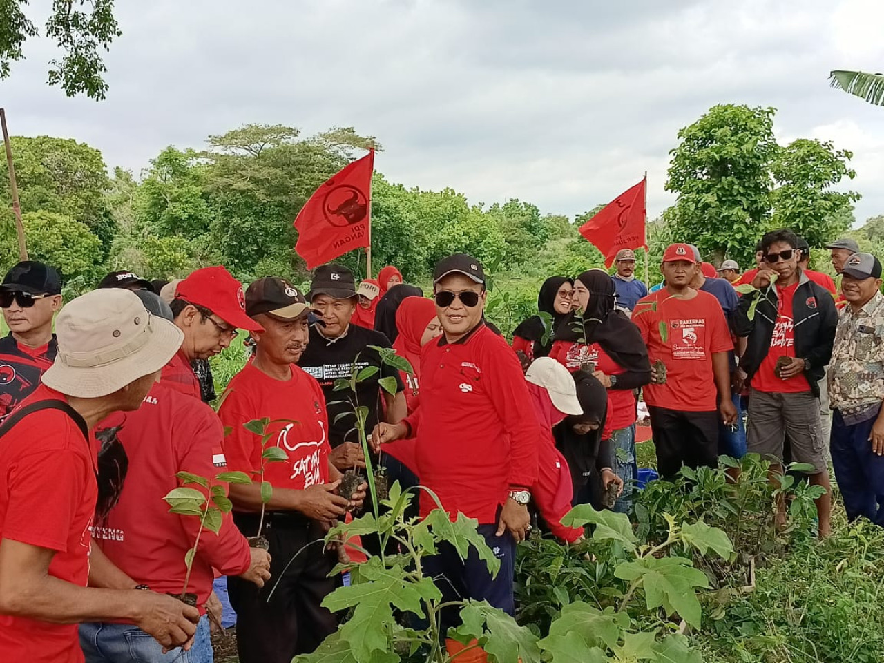 Foto: Aksi tanam 1.053 pohon PDI Perjuangan Jember (Sugianto/jatimnow.com)