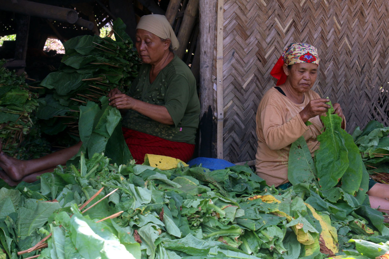 Industri Hasil Tembakau (IHT) terus menjadi tulang punggung fiskal Indonesia. (Foto: Ali Masduki/jatimnow.com)