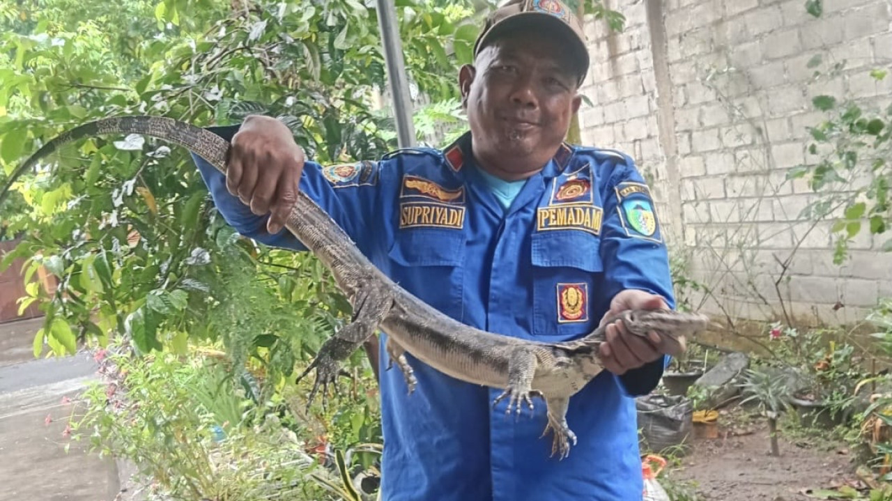 Evakuasi biawak oleh Damkar Kediri. (Foto: Damkar Kediri/jatimnow.com)