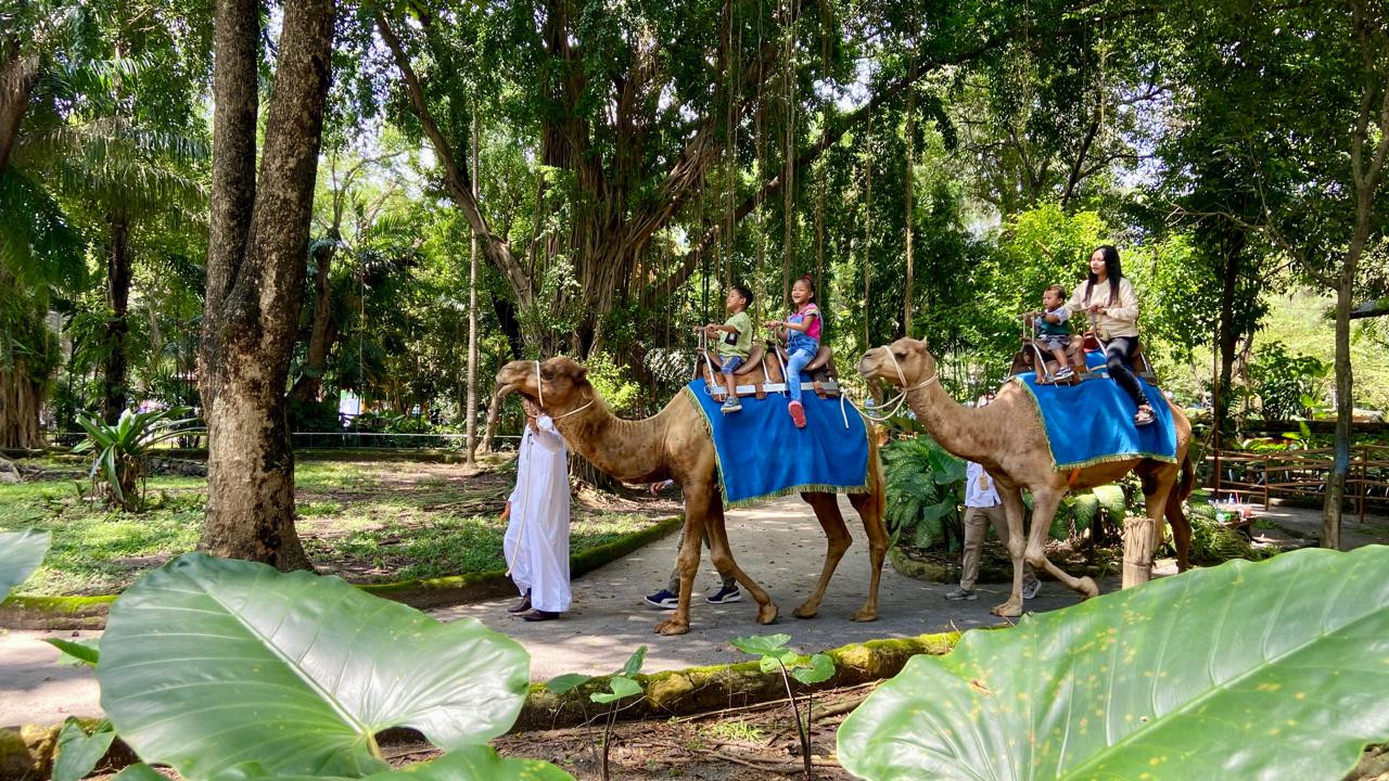 Foto: Serunya Libur Lebaran di Kebun Binatang Surabaya
