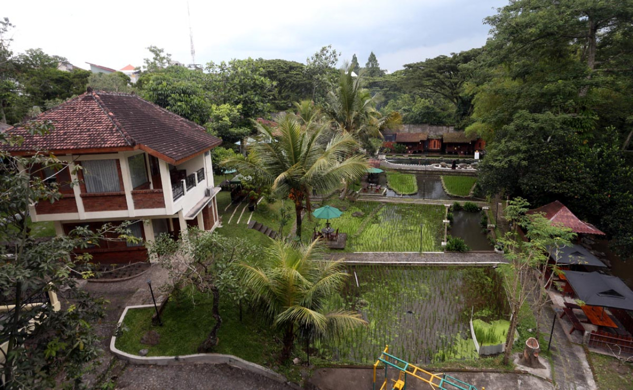 Padi Heritage Resort Malang hadir sebagai ruang beristirahat bagi warga kota maupun pelancong yang ingin menjauh sejenak dari kebisingan. (Foto: Ali Masduki/jatimnow.com)