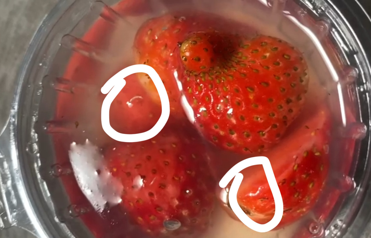 Foto: Belatung di puding stroberi yang menjadi menu MBG di Malang. (Aris/jatimnow.com)