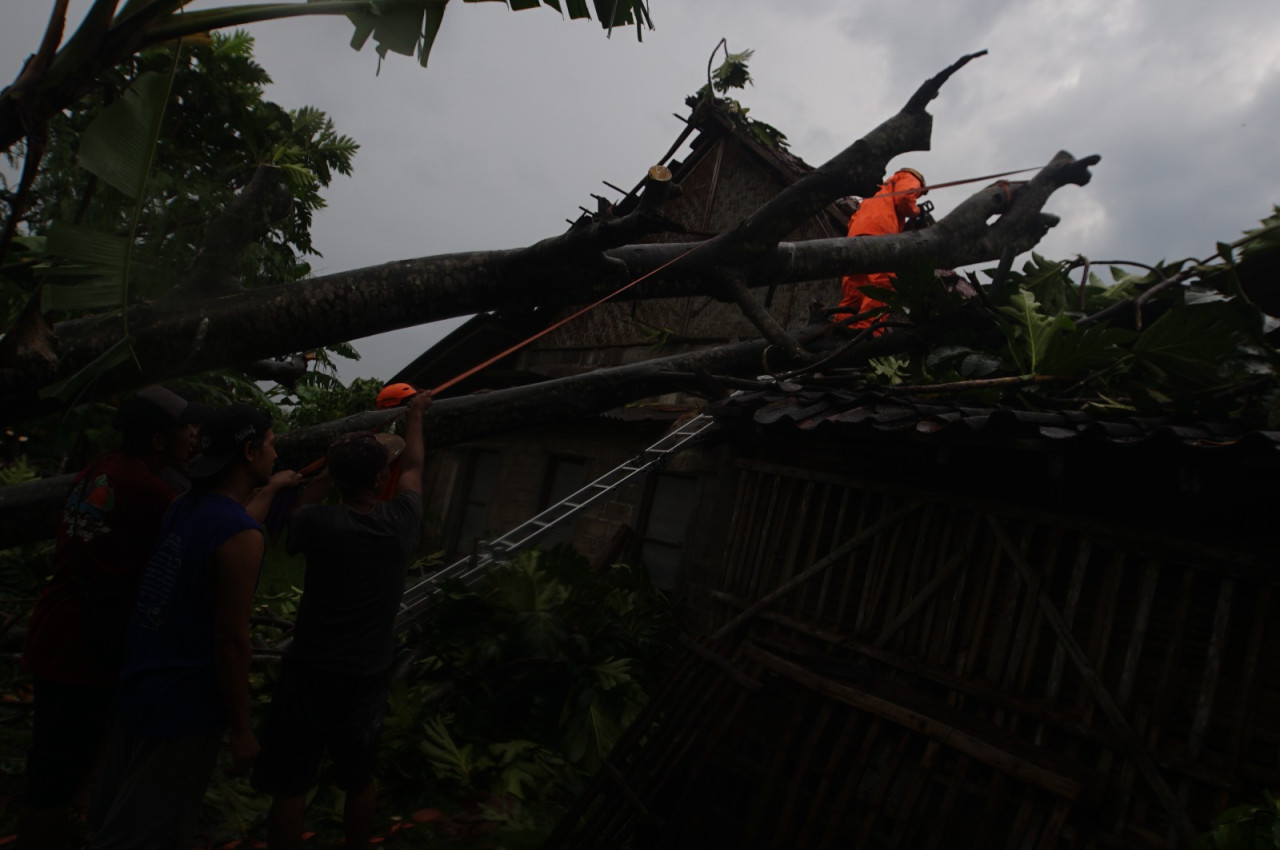 Foto: Rumah warga di Tulungagung tertimpa pohon dampak puting beliung. (Bramanta/jatimnow.com)