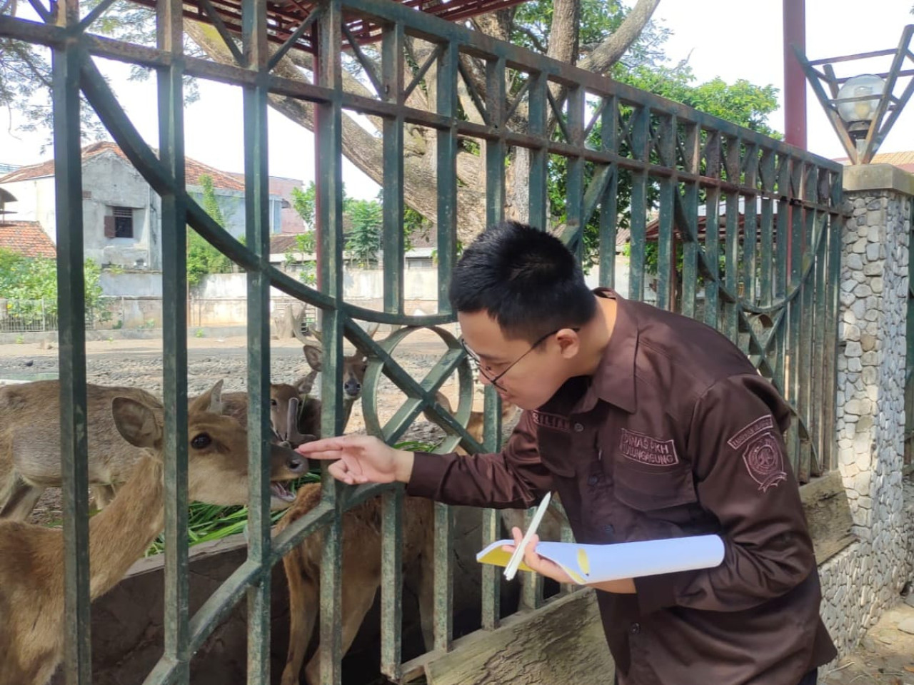 Disnakeswan Tulungagung Pantau Kondisi Rusa di Pendopo, Ini Hasilnya