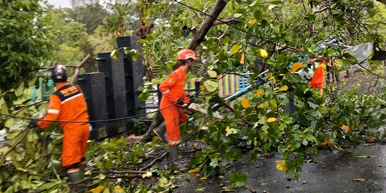 Hujan Angin Terjang Kediri, Pohon Tumbang dan 14 Atap Rumah Rusak