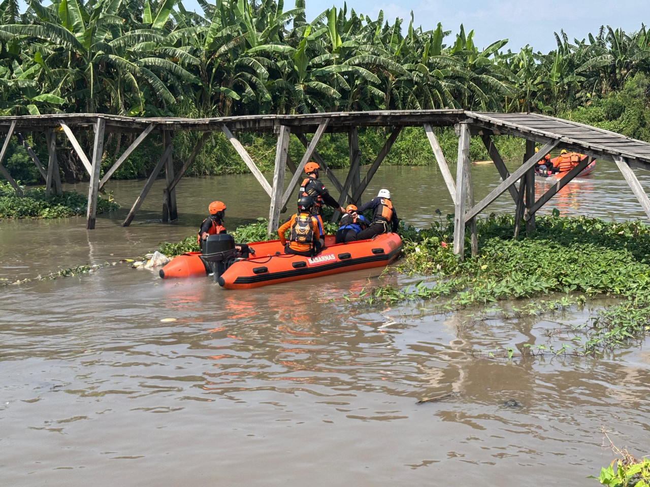 Pencarian Balita Tenggelam di Kalidawir Sidoarjo Terkendala Eceng Gondok