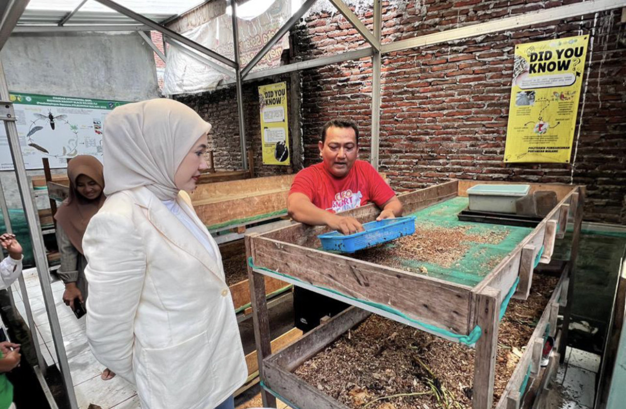 Lita Machfud Arifin Sulap Kandang Maggot Kampung Oase Surabaya Jadi Lebih Modern