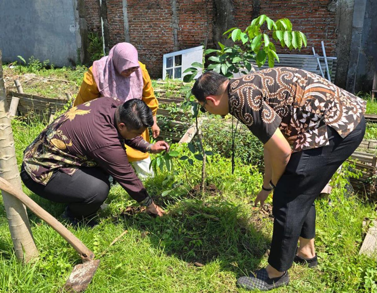 BRI Salurkan Bibit di Surabaya, Dorong Urban Farming Warga