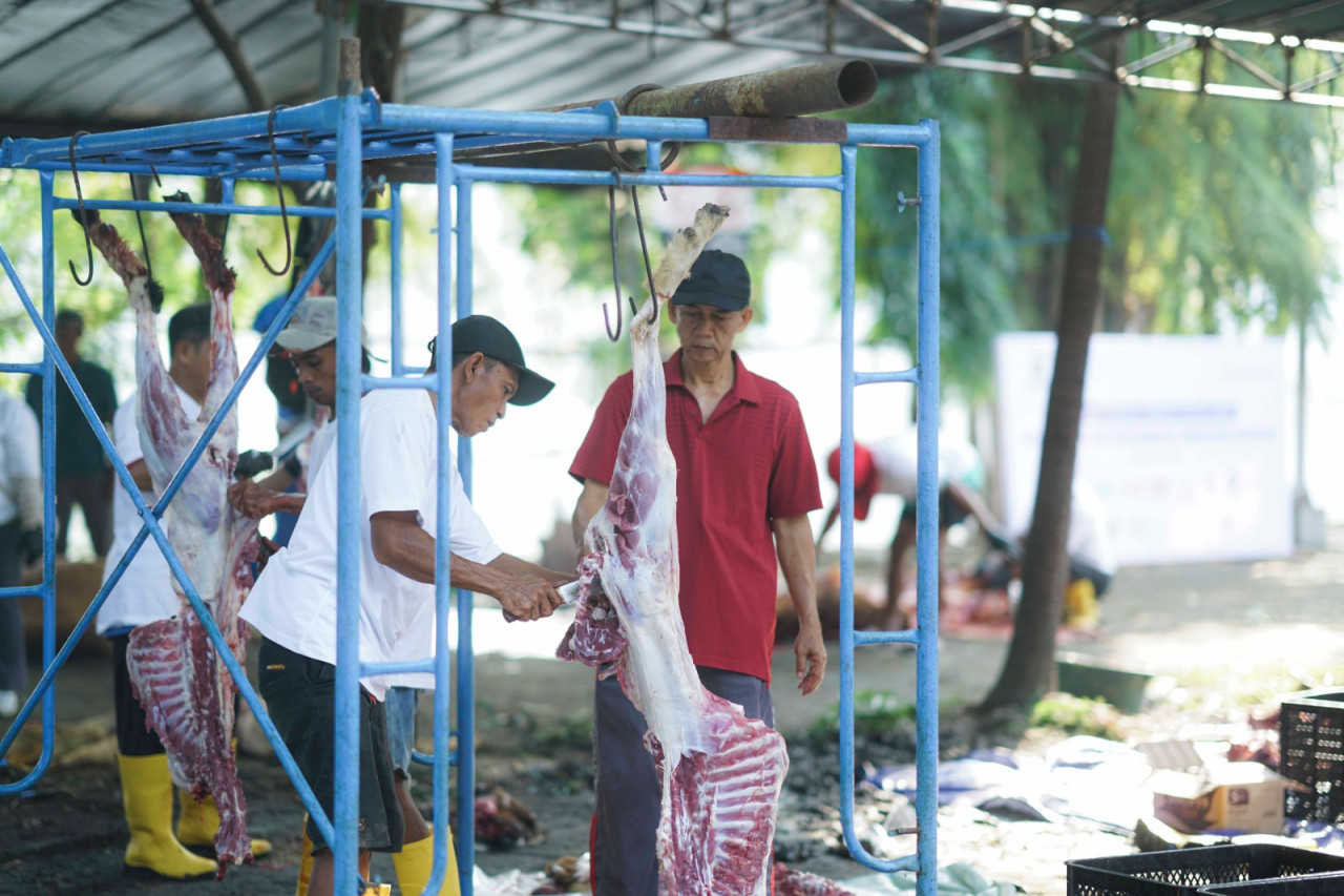 Penyembelihan hewan kurban Holding Danareksa yang difokuskan kawasan PT Surabaya Industrial Estate Rungkut (SIER). (Foto: Humas SIER for jatimnow.com)