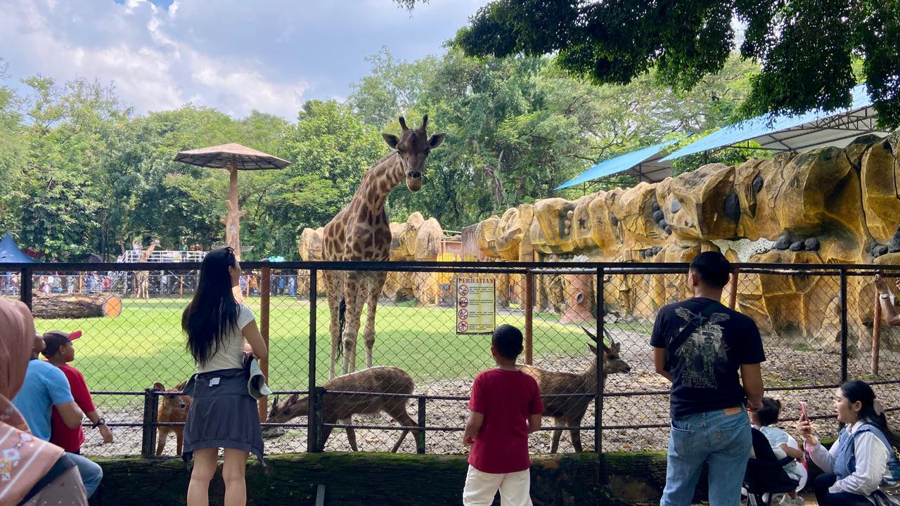 Prakiraan Cuaca Wisata Jatim: Telaga Sarangan Hujan, KBS-Taman Safari Cerah