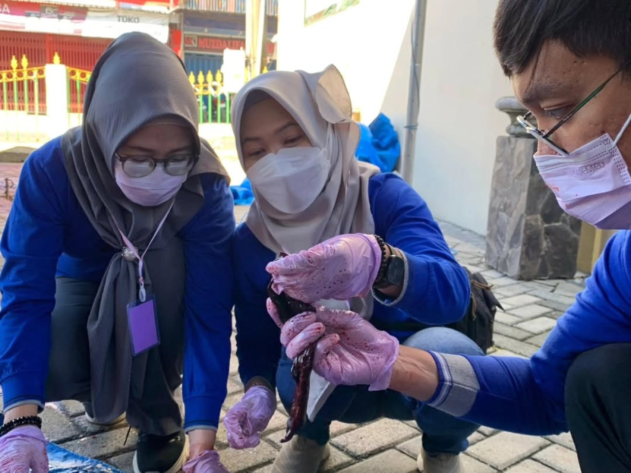 Disnakeswan Tulungagung Temukan Cacing Hati di Sejumlah Hewan Kurban