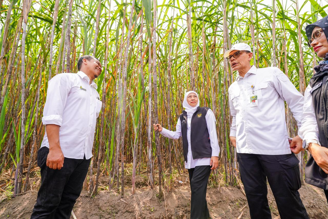 Khofifah Komitmen Jatim Garda Terdepan Penguatan Industri Gula Nasional