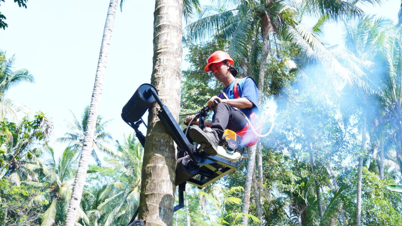 Proses demo uji coba alat panjat kelapa Mocits di Sentra Kelapa Lumajang. (Foto: Humas ITS for jatimnow.com)
