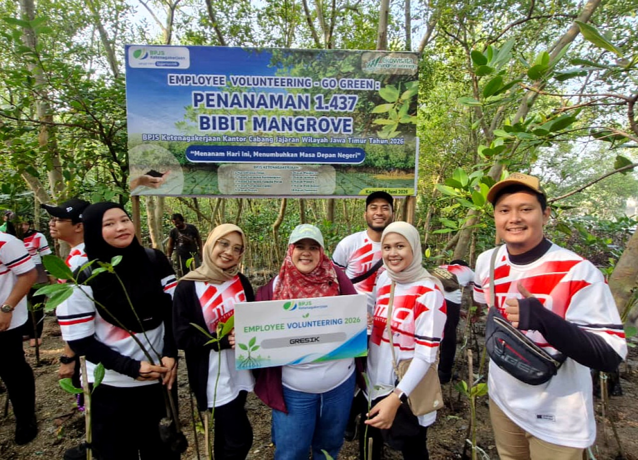 Para karyawan BPJS Ketenagakerjaan saat mengikuti program Employee Volunteering Go Green dengan menanam sebanyak 1.437 bibit mangrove. (Foto: BPJS Ketenagakerjaan Gresik for jatimnow.com)