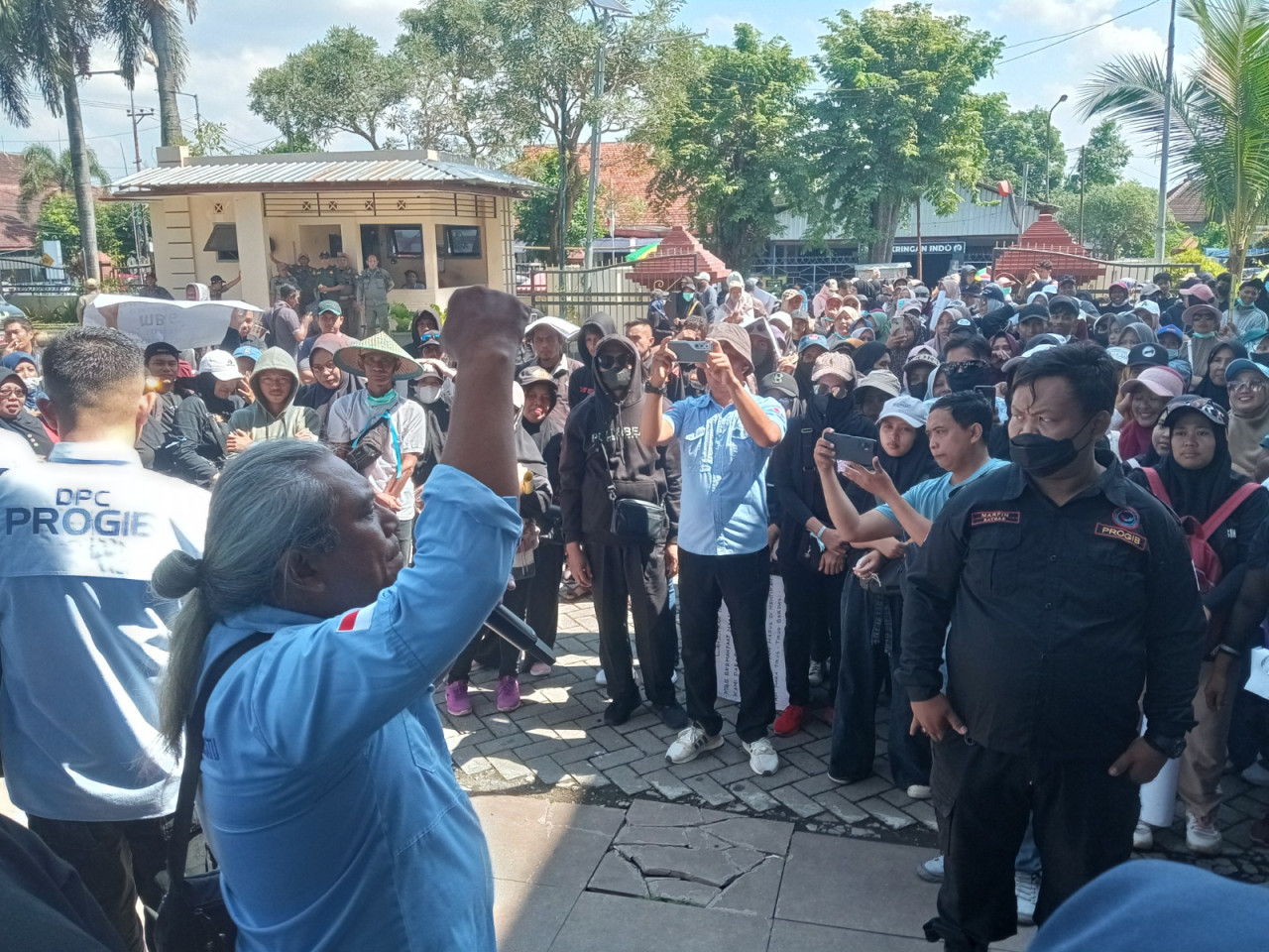 Aksi Progib Jember di depan Kantor DPRD (Foto: Sugianto/jatimnow.com)
