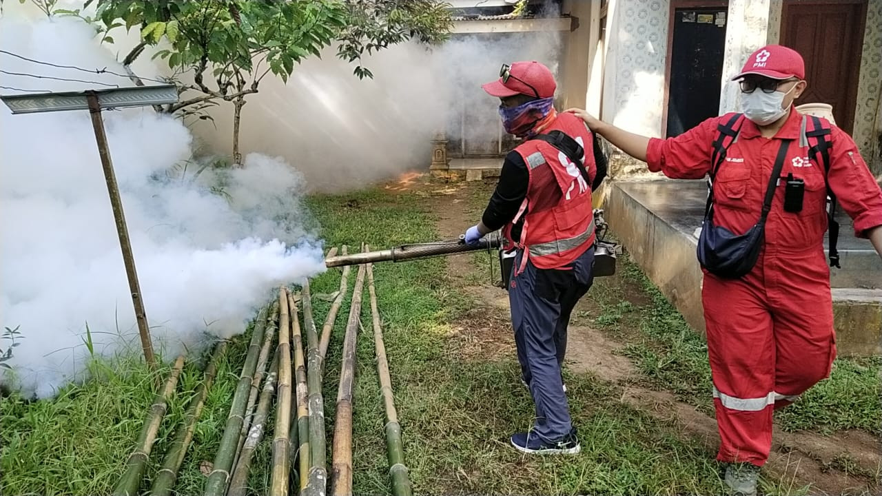 Belasan Warga Jember Terserang DBD, PMI Lakukan Fogging dan PSN Serentak