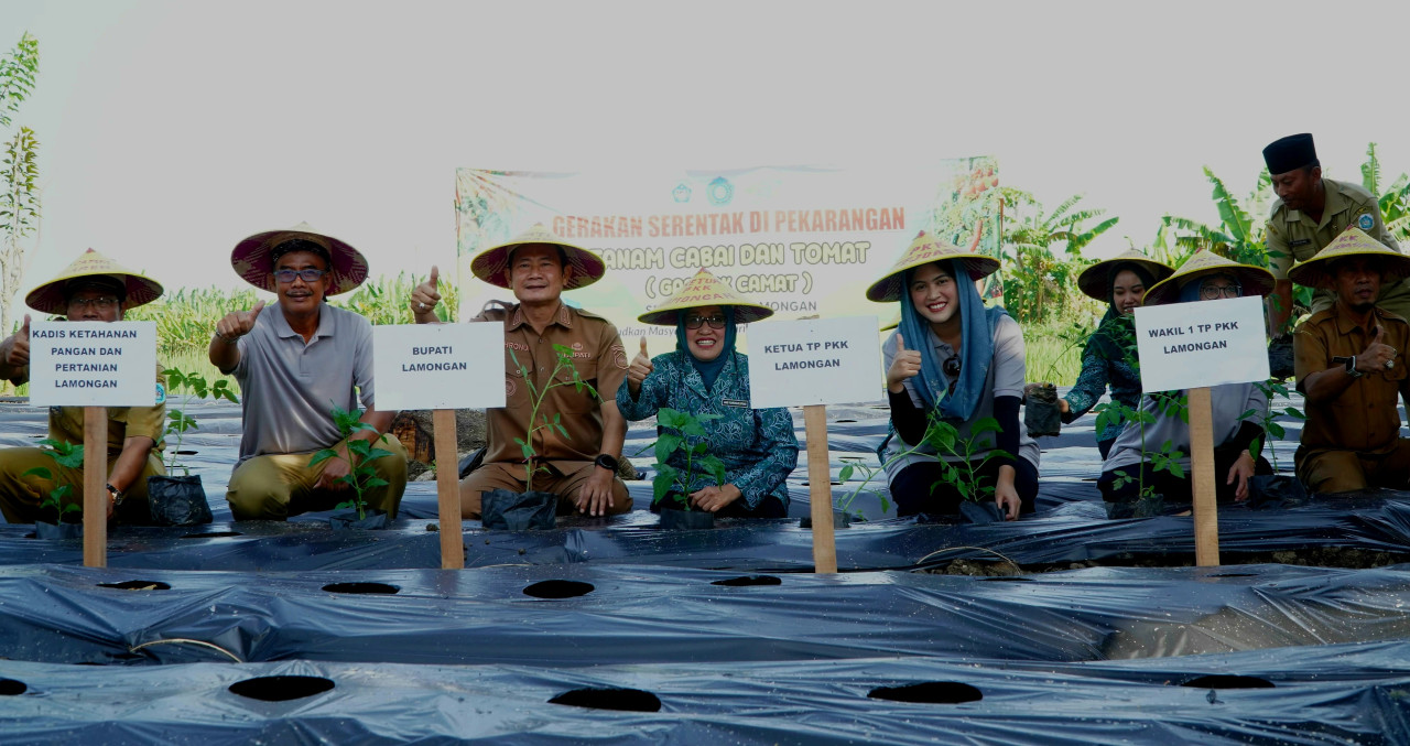 Pemerintah Kabupaten Lamongan saat memperkenalkan gerakan serentak di pekarangan tanam tomat dan cabai. (Foto: Humas Pemkab Lamongan for jatimnow.com)