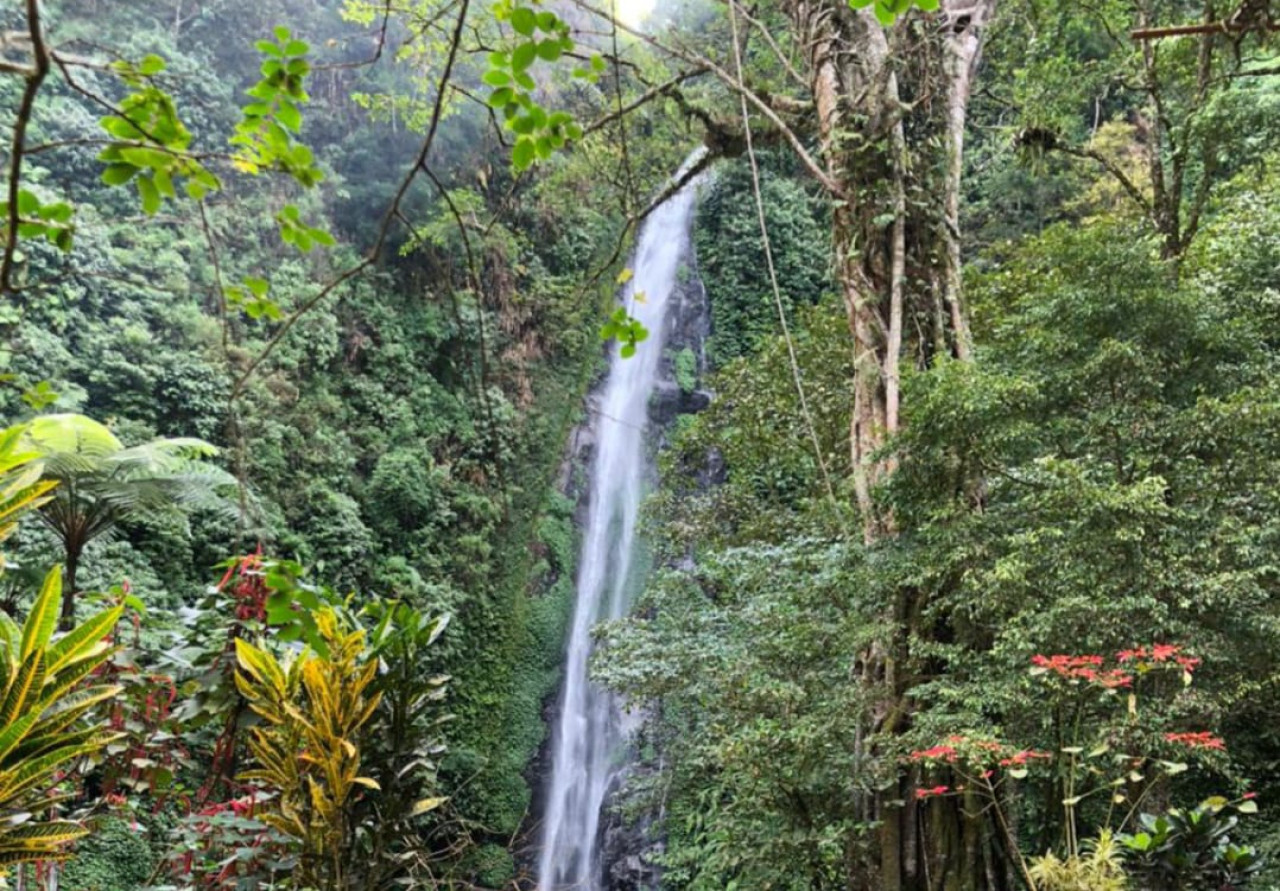 Air Terjun Tancak Jember (Foto: Sugianto/ jatimnow.com)
