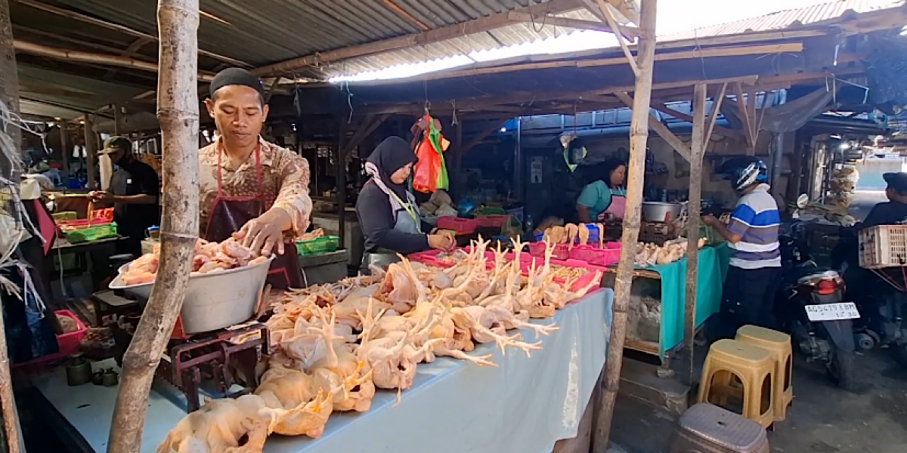 Pedagang ayam di pasar tradisional Kota Kediri. (Foto: Istimewa)